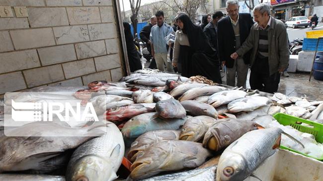 Fisheries, aquaculture output keeps rising in Iran