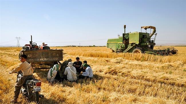 Iran has to import wheat and US sanctions threaten it      