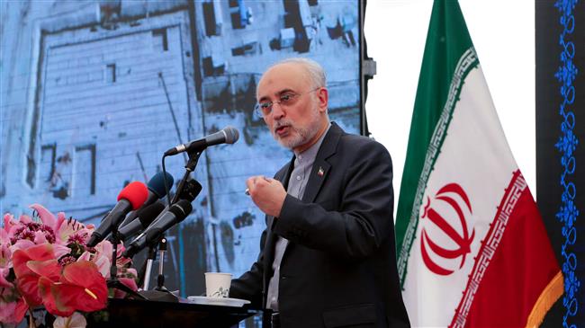 Iran: IAEA inspector's behavior was 'industrial sabotage'