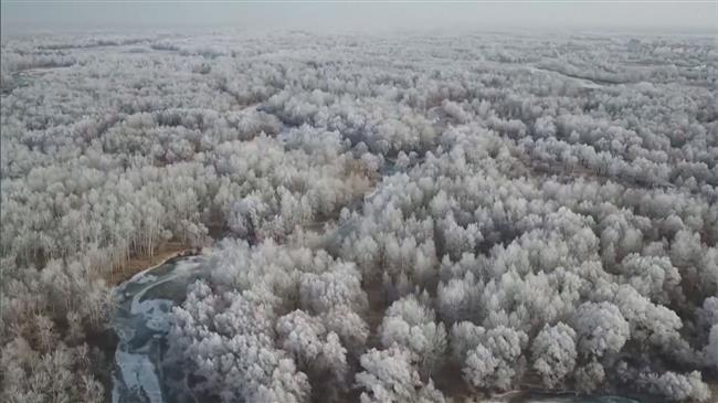 Rime scenery dazzles tourists in China's northwest Xinjiang region