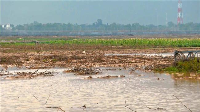 Israel floods hundreds of acres of farmlands in Gaza 
