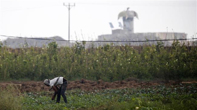 Israeli aircraft spray toxic pesticides near Gaza farms