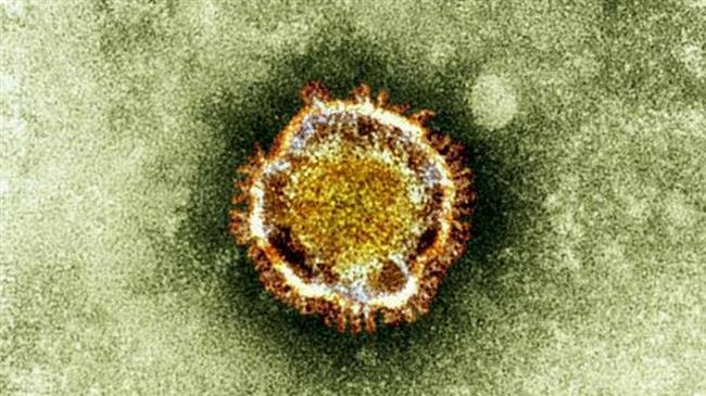 China envoy says 'a lot' is still unknown about coronavirus