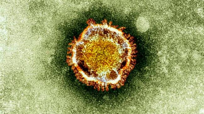 Third person in UK tested positive for coronavirus