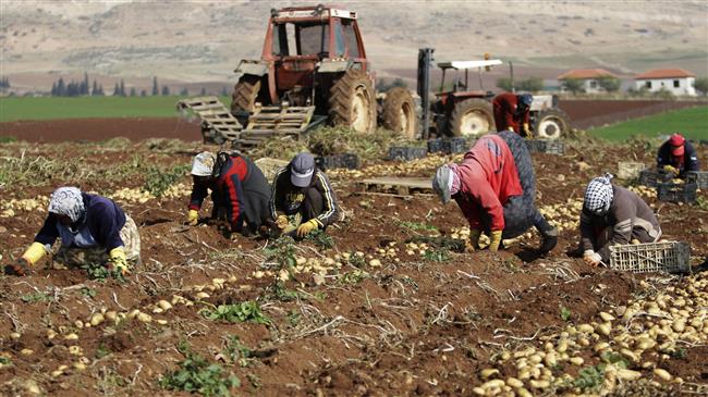 Israel blocks Palestine's agricultural exports