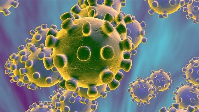 Hundreds of thousands could die from coronavirus in UK in worst case scenario