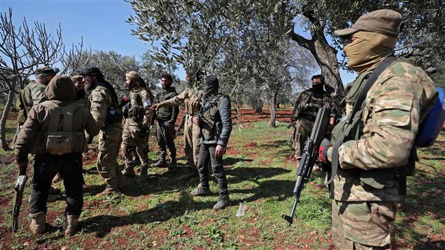 ‘Terrorists plotted to carry out chemical attack in NW Syria’