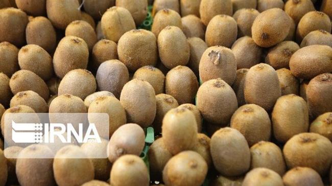 Iran making over $​​​​​​​80 million from kiwifruit exports