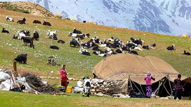 Coronavirus keeps Iran’s nomads from rolling pastures amid ban