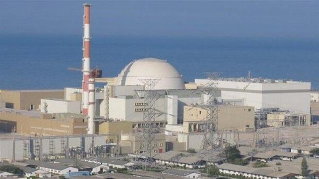 Iran celebrates its first ever overhaul of Bushehr nuclear plant 
