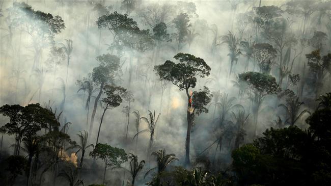Deforestation in Brazil’s Amazon set for ‘worst year in over a decade’