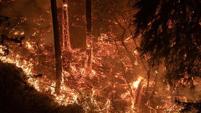 Northern California wildfires kill three, force evacuation of thousands