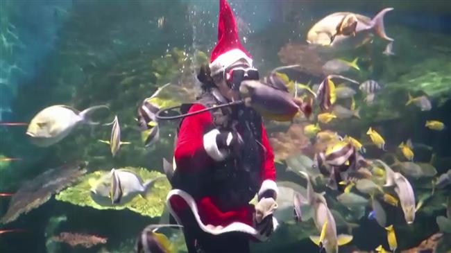 Diving Santa spreads Christmas joy at Bangkok aquarium
