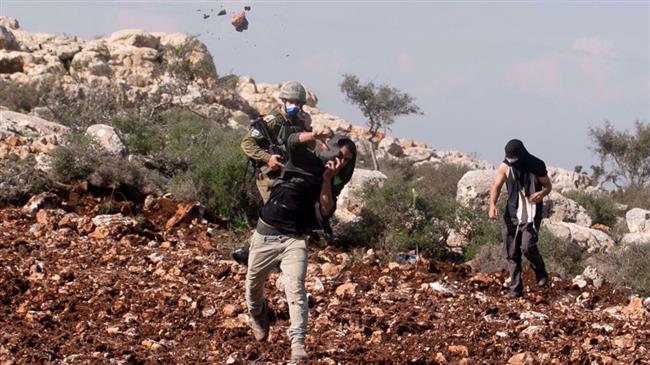 Palestine urges Security Council action against Israeli settler violence