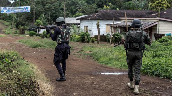 Suicide bombing, gun attack in Cameroon kill 13: UN