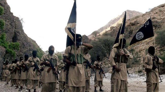 Yemeni intel agency details al-Qaeda terror activities in Ma’rib