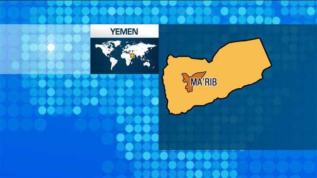Yemeni forces liberate 80% of city of Ma’rib 