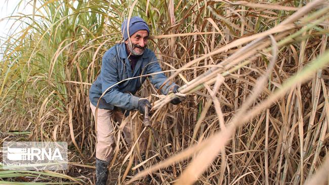 Iran’s largest sugarcane mill renationalized