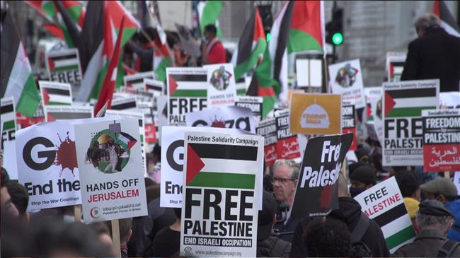 Pro-Palestine demonstrators shut down Downing Street