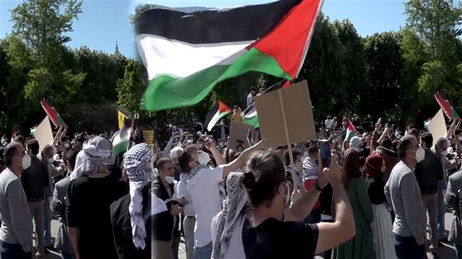 Anti-Israel demonstrators gather outside Austrian Chancellery