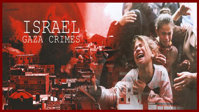  Israel Gaza crimes