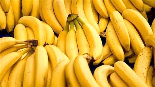 Apple for banana trade leaves Iran with $71.3 mln in surplus: IRICA
