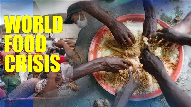 World food crisis